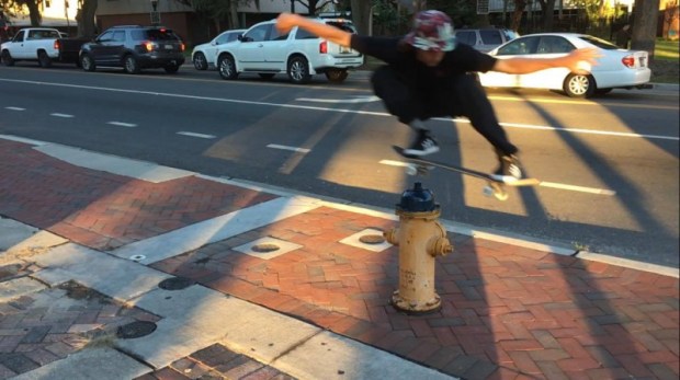 12499374_10153875871719861_769619472_o